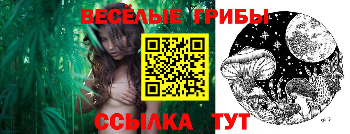 Псилоцибиновые грибы Cubensis  Вход с VPN  Аксай 