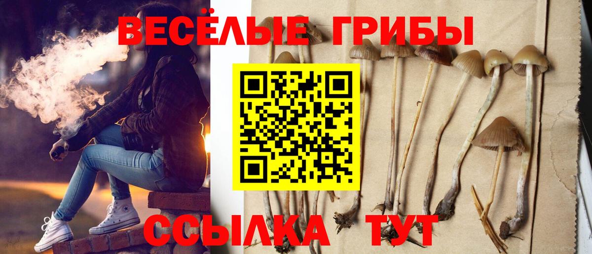 Галлюциногенные грибы Magic Shrooms Аксай